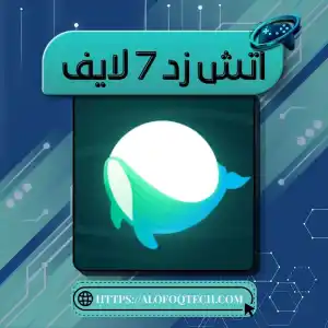 Hz7 Live